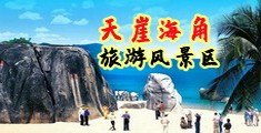 日本网站wwwwxxxx海南三亚-天崖海角旅游风景区